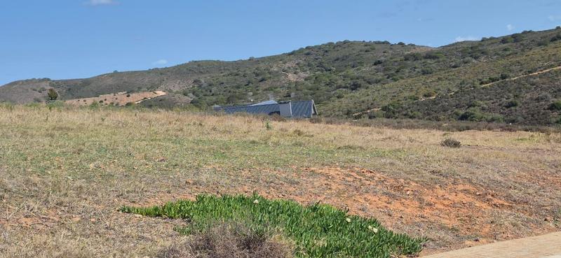 0 Bedroom Property for Sale in Outeniquasbosch Western Cape